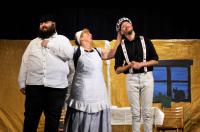 Dobřív, J. K. Tyl T. J. Sokol, O hloupém Honzovi, NP sokolských divadel Lázně Toušeň 2025