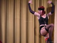 Jindřichův Hradec, Jablonský, Dáma od Maxima, 2004