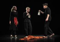 Ostrov, Na poslední chvíli, ZUŠ Ostrov, Pac a pusu, CP Dětská scéna, Svitavy 2017