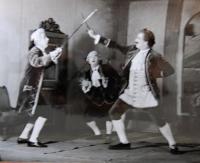 Třebíč, ZGK Borovina, Mirandolina