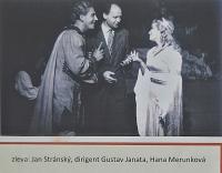 Lysá nad Labem, výstava DIVADLO JE PODIVUHODNÁ VĚC..., výstavní panel, 2018