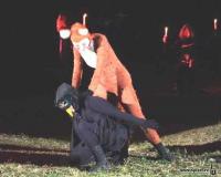 Plzeň, Divadelní spolek Jezírko, O ptáku Ohniváku a lišce Ryšce, 2001