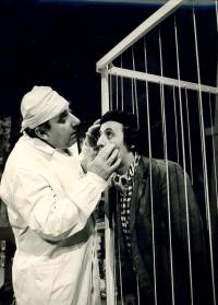 Hronov, MAJ, Divadelní fantazie, 1978