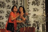 Neratovice, Havlíček, Odjezd nejistý, NP seniorského divadla Česká Třebová 2016