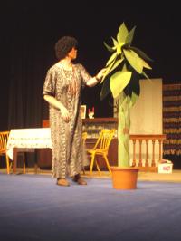 Přibyslav, Hadrián, Monsieur Amédée, 2008