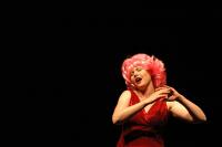 Karviná, K.V.A.S., Divadelní komedie, CP Divadelní Piknik Volyně 2015