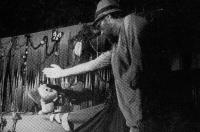 Liteň, Na špejchaře KaSS, O zvědavém slůněti, LCH 1989