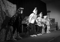 Kyjovice, ZŠ a MŠ, O slepičce kropenaté, 2008