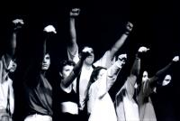 Hradec Králové, ...a jiní čtvernožci, Co chtít od života, CP Wolkrův Prostějov 1996