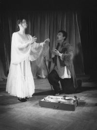 Brno, Studio dům,  Arlekino vévodou bretaňským