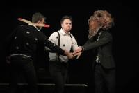 Plzeň, Divadlo J. K. Tyla, Tobiáš Lolness, CP Popelka Rakovník 2018