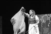 Žďár nad  Sázavou, Sázavan, Byl jednou jeden drak, 2009