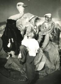 Hronov, MAJ, Čapí mládě, 1957