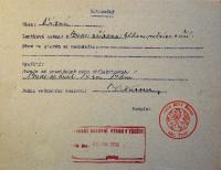 Jihlava, Okresní úřad Jihlava, Okresní národní výbor Třešť, přehled loutkových divadel, 1958