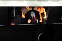 Plzeň, Alfa, Amberville aneb Drsné město hebkých plyšáků, CP Popelka Rakovník 2011