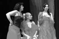 Louny 2009, Strančice, Kulturní společnost, Osm žen