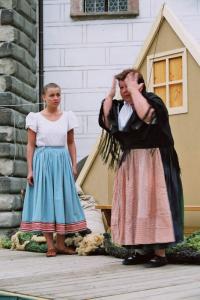 Jindřichův Hradec, Jindřichohradecká činohra, Strakonický dudák, 2003