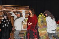 Hlína, Hasiči, Popelka, Týden ochotnického festivalu Miroslava Doležala 2014