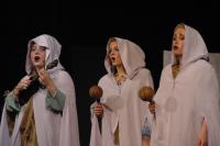 Libice n. C., Vojan, Čarovný kámen, CP Popelka Rakovník 2014