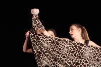 Jaroměř, ZUŠ, Desgirafes, Lepardessus, KP Audimafor 2018