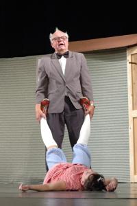 Hrádek n. Nis.,Vojan, Podivné odpoledne dr. Zvonka Burkeho, NP seniorského divadla Miletín 2014