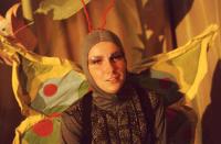 Těchonice, Zmrzlík, Ze života hmyzu, 2002