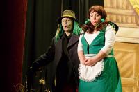 Rozsochy, Rozsošský divadelní spolek, Lucerna aneb boj o lípu, 2015