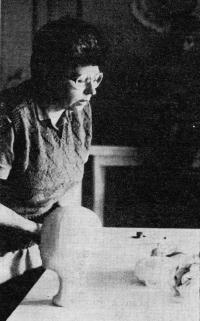 Český Krumlov, Setkání v Českém Krumlově 1984, ze semináře, O štěňatech, která se vytahovala