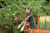 Praha, Loutky bez hranic, Jabloňová pohádka, CP Loutkářská Chrudim 2013