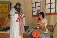 Trstěnice, Vojnarka, Mrazík, 2009