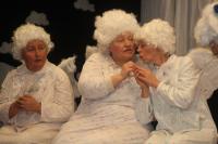 Janovice nad Úhlavou, Sokol, Janovické nebe, 2013