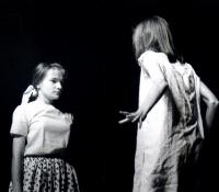 Žďár nad Sázavou, Modrý pták, Havrane z kamene, CP FEMAD Libice n. Cidl. 1993