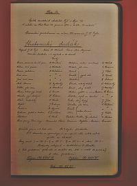 Lysá nad Labem, výstava DIVADLO JE PODIVUHODNÁ VĚC..., výstavní panel, 2018