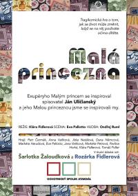 Čáslav, Atakdál, Malá princezna - plakát, 2019