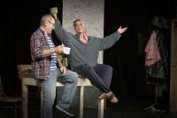 Sokolov, DMH a VIKI PROJEKT, Ani za milion, Sokolovská čurda 2024