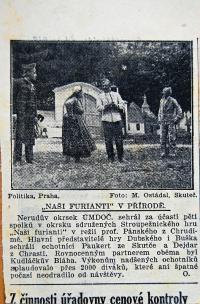 Chrudim, Nerudův okrsek, novinový článek, 1941