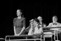 Vrchlabí, Vlastík, Pan Kaplan má třídu rád, CP Divadelní Piknik Volyně 2019