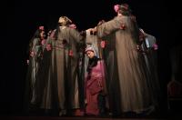 Čelákovice, Tyl, Šípková Růženka, CP Popelka Rakovník 2012