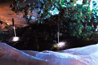 Vševily a Strakonice, Přespolní, Rapa Nui, CP Jiráskův Hronov 2024