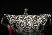 Jaroměř, ZUŠ F. A. Šporka, Desgirafes, Lepardessus, CP Loutkářská Chrudim 2018