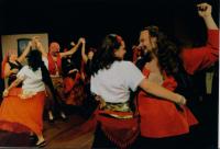 Ústí nad Orlicí, Vicena, Zdravý nemocný 2009