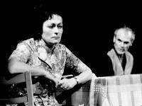 Josefův Důl, Tyl, Šťastná rodina, NP Krakonošův divadelní podzim Vysoké n. Jiz. 1979