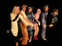 Prostějov, Hugo, Kocourek Mordroočko, 2007