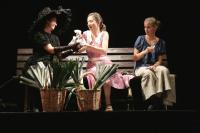 Brandýs nad Labem-Stará Boleslav, Samodiv, Ach ta něha našich dam aneb Pórek, Divadelní Brandýs 2011