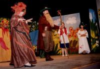 Brněnec, Vojan, Krakonošova zahrada, 1995