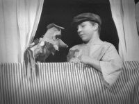 Děčín, DdDd ZUŠ, Bylo, nebylo…, CP Jiráskův Hronov 2002