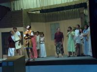 Šardice, Ochotníci ze Šardic, Nejkrásnější válka, 2008