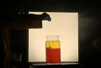 Vševily a Strakonice, Přespolní, Černá slepice, CP LCH 2022