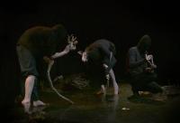 Slovensko, Bratislava, Korene a kosti, Sen o pralese, LCH 2025