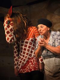 Liberec, Naivní divadlo, Pečení holubi aneb Přísloví, Popelka 2009